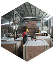 Picture shows you how container plywood manufacture.